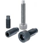 Hex Socket Screws